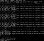 tcpdump pi