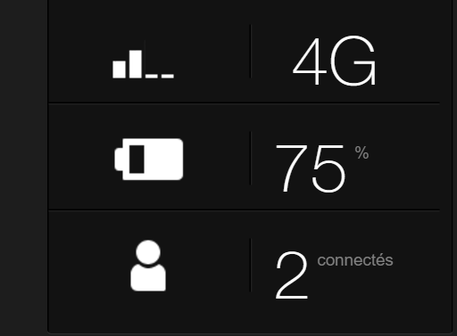 Capture jauge domino.PNG