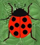 Public (coccinelle29)