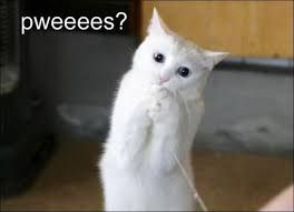 téléchargement (1).jpg