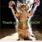 téléchargement (5).jpg