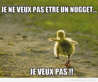 image-drole-poussin-nuget.jpg