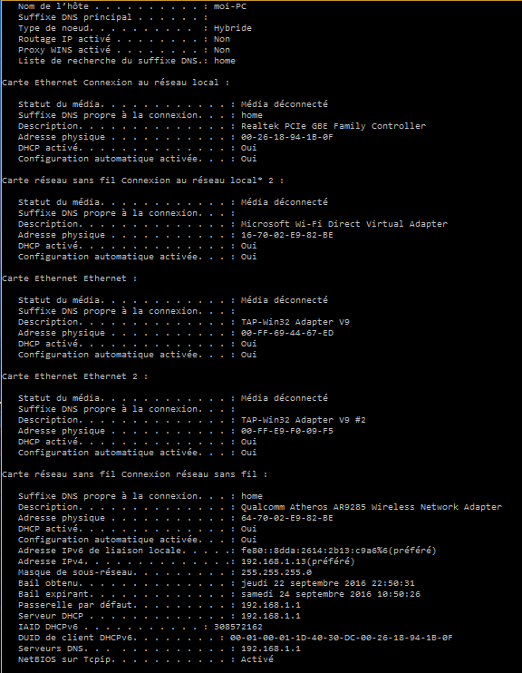 ip config.PNG