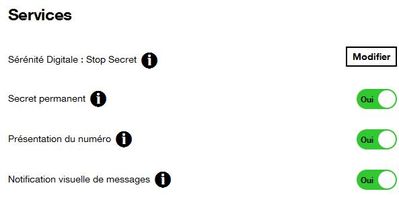 secret permanent.JPG