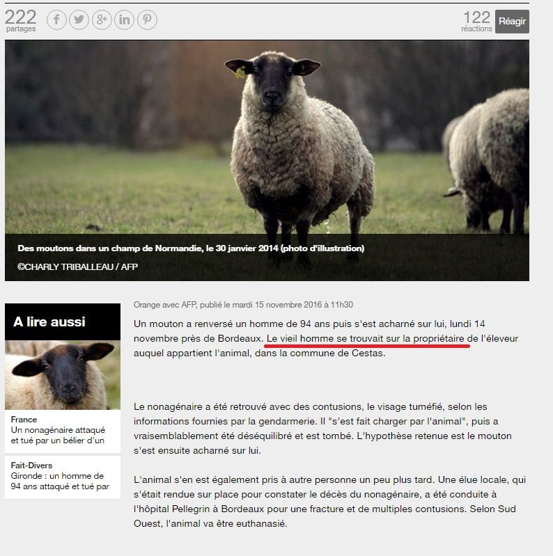 2016-11-15 15_26_52-Gironde _ un homme tué par un mouton sur Orange Actualités.jpg