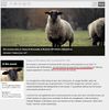 2016-11-15 15_26_52-Gironde _ un homme tué par un mouton sur Orange Actualités.jpg
