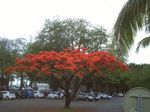 PICT0160.jpg