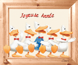 canards-source_b11.gif