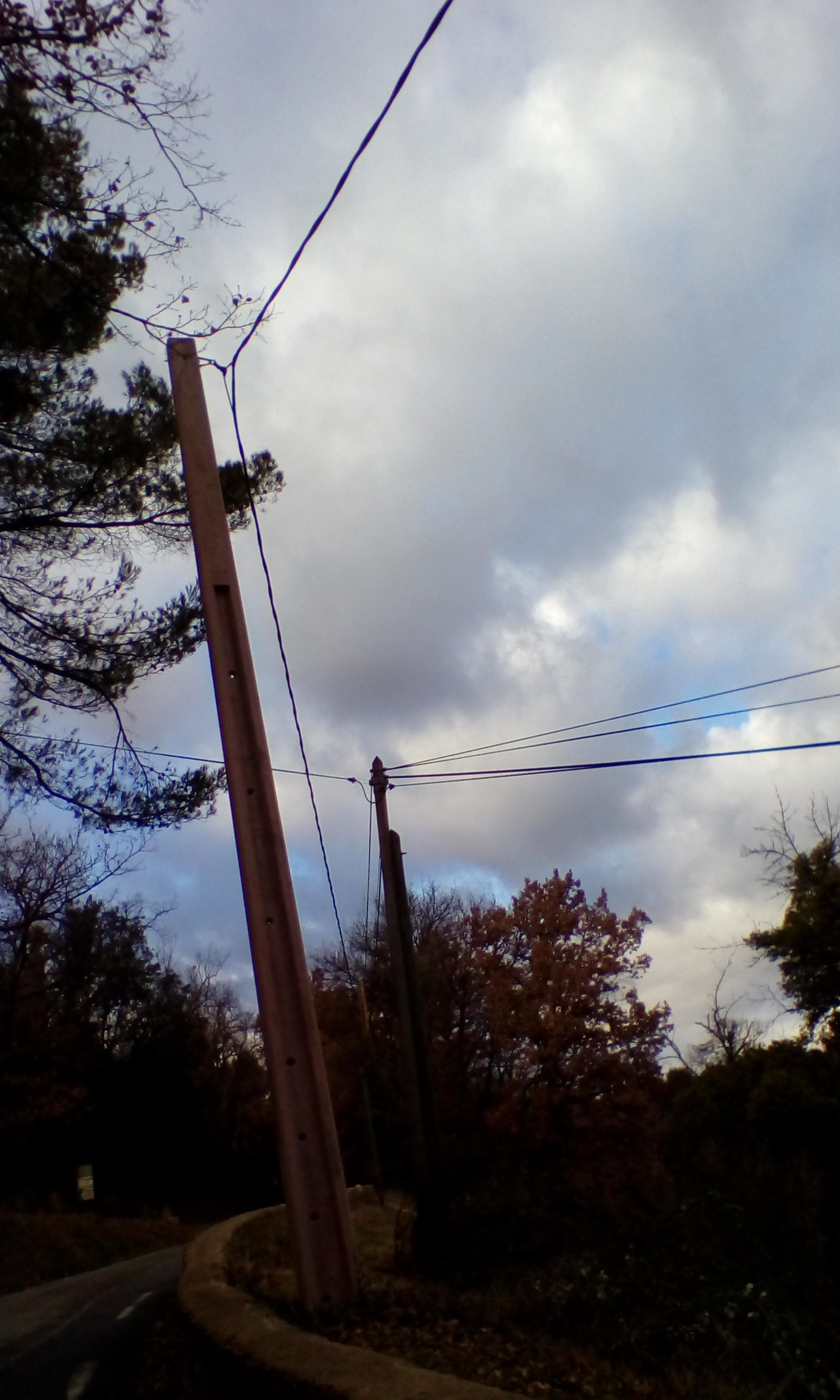 IMG_20170113_154753.jpg