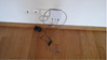 fibre.png