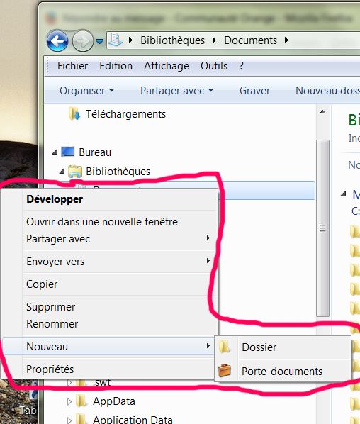 Nouveau dossier.jpg