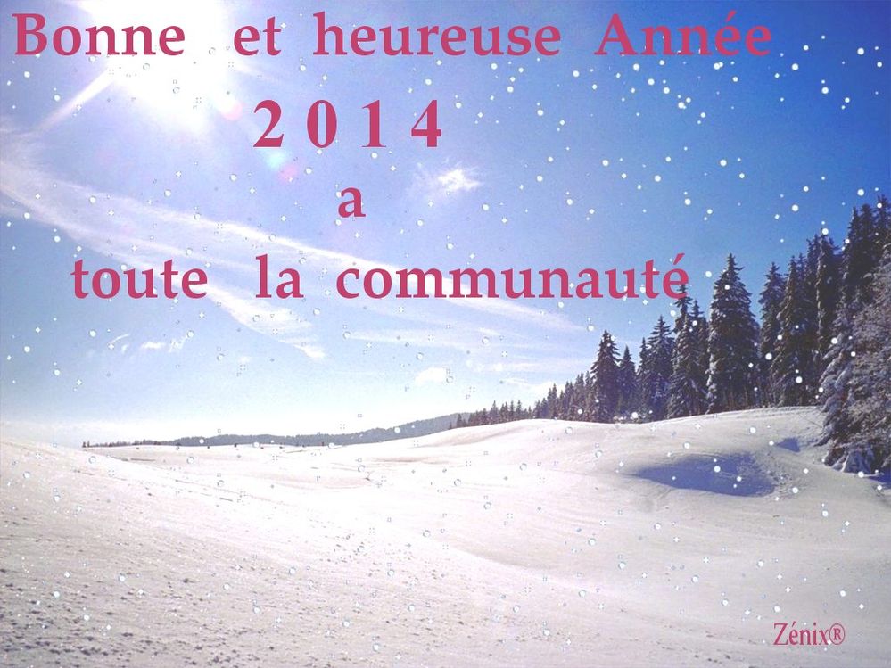 Bonne  Année.jpg