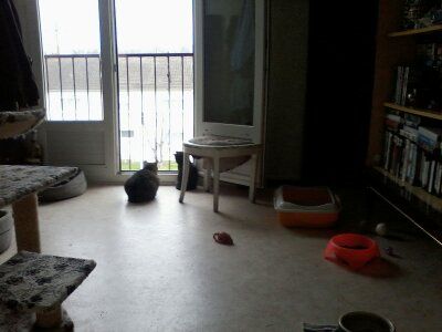 046.jpg timoone   yrys