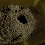 mon smartphone caché dans la litière