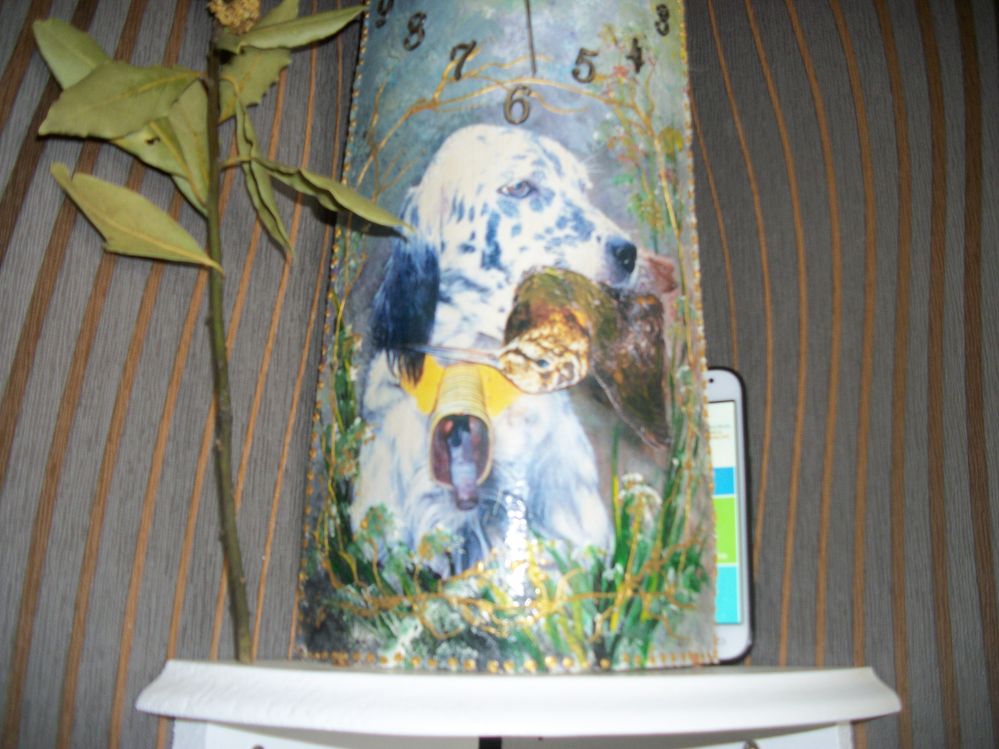 100_4237.JPG