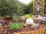 Dans le jardin