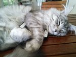 IMG_20170501_180815.jpg