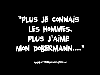 dobermann.gif