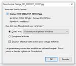 Orange_004_12062017_184958.jpg
