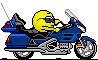 goldwing.gif