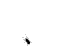 144934moucheron.gif