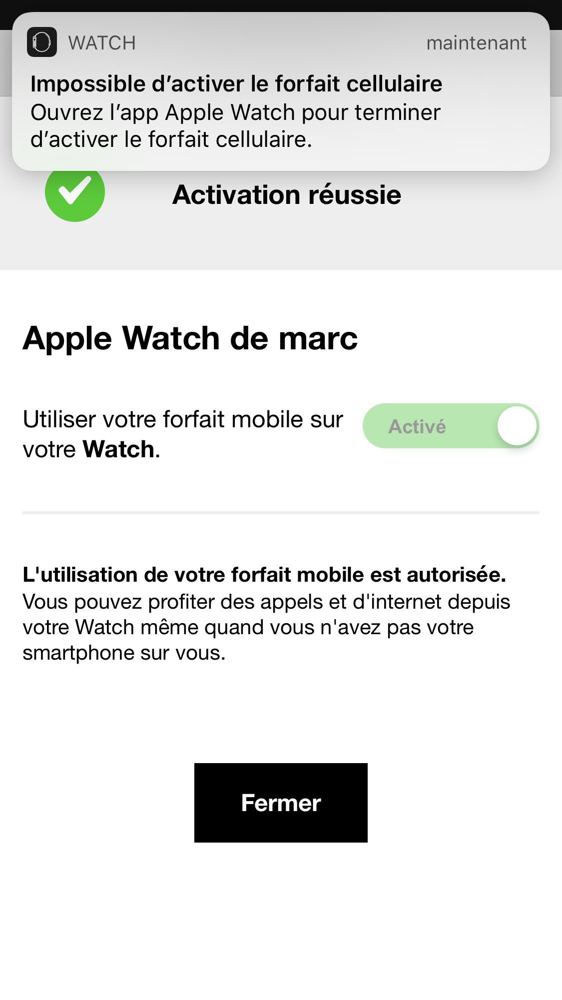 copie ecran apple watch