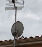 Public (anthonnyyyy)