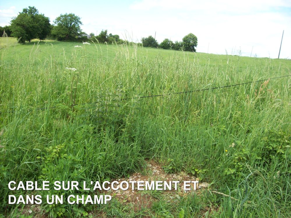 CABLE-ACCOTEMENT-CHAMP.JPG
