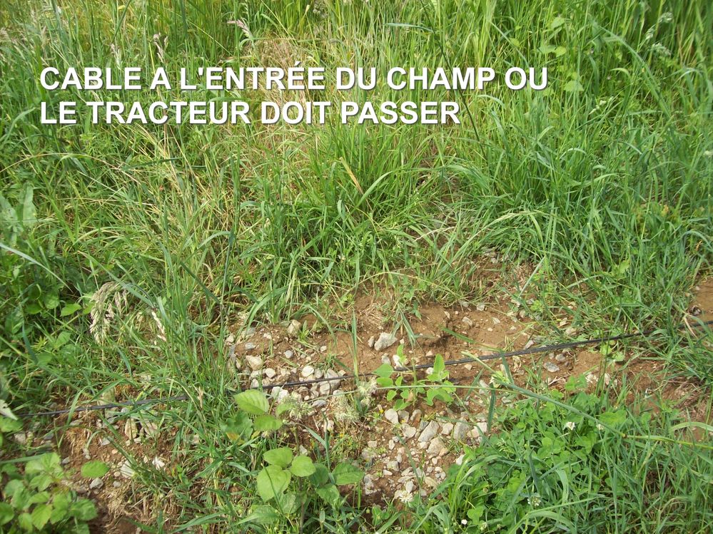 CABLE-DANS-LE-CHAMP.JPG