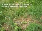 CABLE-DANS-LE-CHAMP.JPG