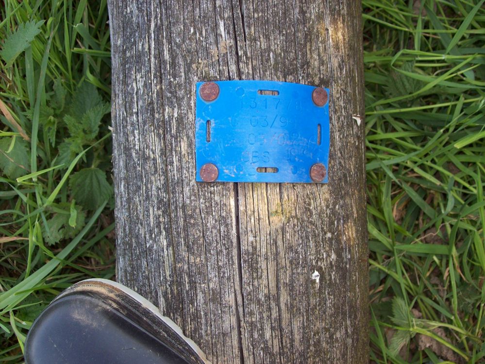 ETIQUETTE-BLEUE.JPG
