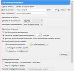 Capture.PNG paramètre serveur_censored.jpg