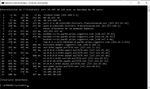 tracert 219.jpg