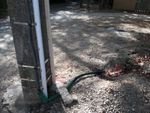 20181001_122141 (2) (800x600).jpg