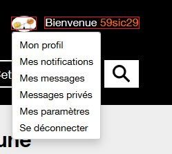Capture avatar ou pseudo_2.JPG