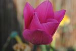 DSC_0146.JPG