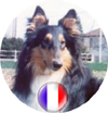 Profil (Hibou45)