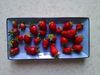 recolte de la terrasseIMG_0140.jpg