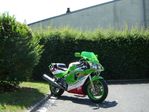 Profil (filauchard)