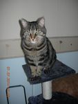 DSCN3153.JPG