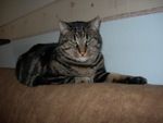 DSCN3112.JPG