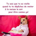 Public (Cocobibiche77)