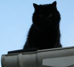 IMG_0369_2.JPG