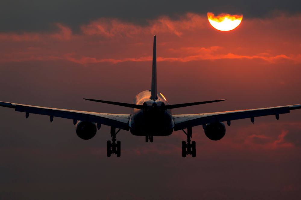 018067-vroeg-II1.jpg