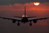 018067-vroeg-II1.jpg