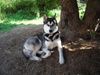 DSCN1827.JPG