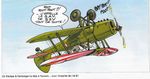 STAMPE SV AEOROBATICS.jpg