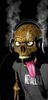 SKULL-81a6a378-ce3c-312e-9203-bb211fefcd2d.jpg