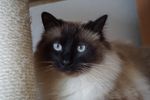 DSC00037.JPG