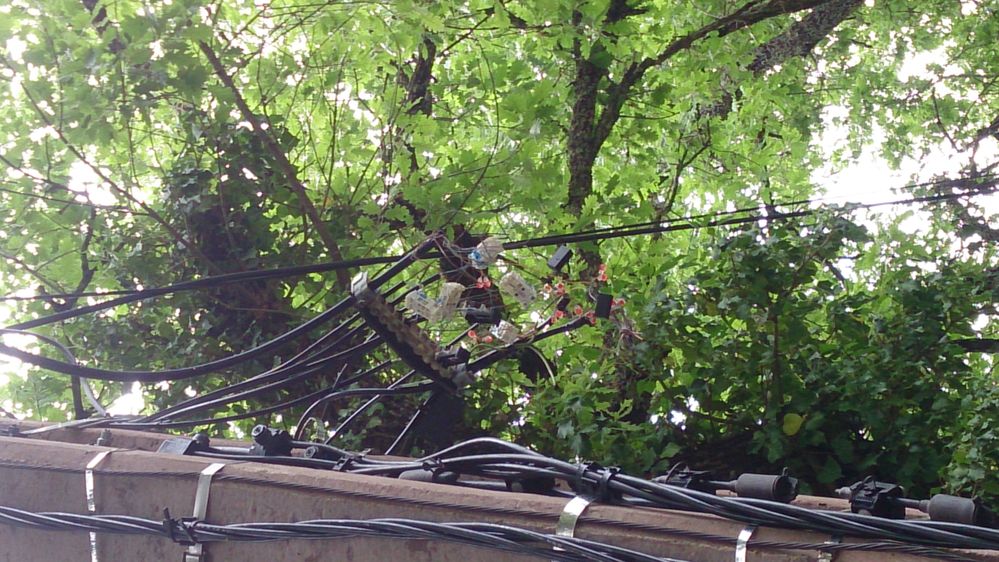 poteau avant le passage sous terre de ma ligne sur mon terrain 03 ici on voit les petits sucres faisant la connexion ( normal !!!! ))